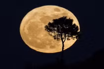 Video: Tránh xa kiêng kỵ ngày rằm này nếu không xui xẻo đeo bám