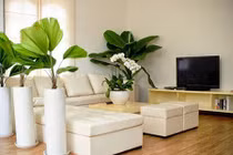 Video: 6 cách bài trí nhà ở hợp phong thủy, Thần tài thường xuyên ghé thăm