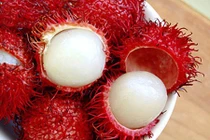 Video: 10 điều có thể bạn chưa biết về quả chôm chôm