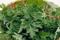 Video: Bài thuốc chữa bầm tím do ngã hiệu quả tại nhà