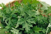 Video: Bài thuốc chữa bầm tím do ngã hiệu quả tại nhà