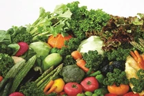 Video: Mẹo ăn uống để phòng tránh bệnh ung thư hiệu quả