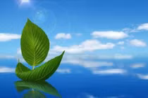 Video: 7 điều giác ngộ để cuộc sống không còn phiền não