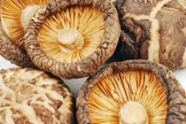 Video: 10 thực phẩm “vàng” giúp cơ thể ít bệnh tật, tăng tuổi thọ