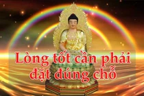 Video: Lòng tốt cần cho đi nhưng phải đặt đúng chỗ