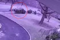 Video: Tai nạn khiến xế hộp lao vào cây, vỡ làm đôi