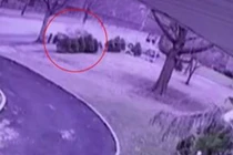 Video: Tai nạn khiến xế hộp lao vào cây, vỡ làm đôi