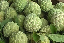 Video: Loại quả "thần dược" có sẵn trong vườn nhà