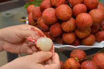 Video: Sai lầm ăn vải chín lúc bụng đói nhiều người không biết