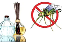 Video: Đặt sẵn thứ này trong nhà, muỗi cứ bay vào là lăn ra chết