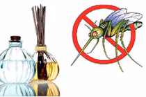 Video: Đặt sẵn thứ này trong nhà, muỗi cứ bay vào là lăn ra chết