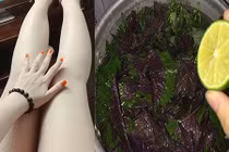 Video: Cách làm trắng da toàn thân tại nhà bằng 1 nắm lá rẻ tiền