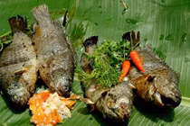 Video: Ăn cá rô đồng mà không biết những điều này thì hối hận cả đời!