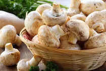 Video: 10 lợi ích quý hơn vàng của nấm trắng đối với sức khỏe