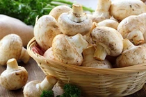 Video: 10 lợi ích quý hơn vàng của nấm trắng đối với sức khỏe