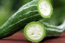 Video: “Thần dược” chống tiểu đường, bệnh tim mạch ít ai ngờ tới