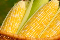 Video: Hình dạng nguyên thủy của rau củ quả cực kì khác lạ