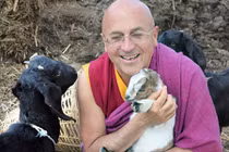 Video: 3 bài học đắt giá từ “người hạnh phúc nhất thế giới“