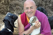 Video: 3 bài học đắt giá từ “người hạnh phúc nhất thế giới“