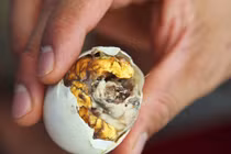 Video: “Tác dụng phụ” rất đáng sợ của trứng vịt lộn nên lưu ý