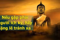 Video: Người thông minh đối phó với kẻ dối trá ích kỷ thế nào?