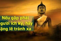 Video: Người thông minh đối phó với kẻ dối trá ích kỷ thế nào?