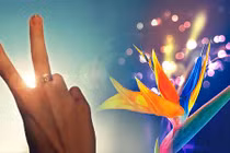 Video: 7 thứ xiềng xích đang kìm hãm cuộc đời bạn