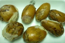 Video: 3 tuần hết hắn đau dạ dày chỉ với loại hạt này