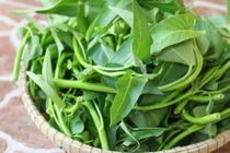 Video: 3 bài thuốc dân gian từ rau muống chữa trăm bệnh