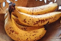 Video: Cấm ăn chuối vào thời điểm này, nếu không muốn nguy hiểm