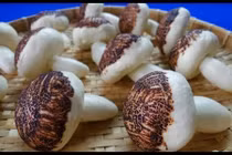 Video: Cách làm bánh bao cây nấm vừa ngon vừa dễ thương hết nấc