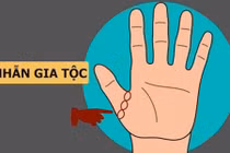 Video: Số may mắn hơn người nếu có 9 dấu hiệu hiếm này trên tay