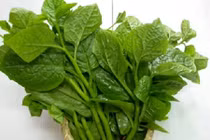 Video: Tác dụng thần kỳ khi cho rau mồng tơi vào khẩu phần ăn mỗi ngày