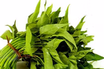 Video: Lưu ý khi ăn rau muống ai cũng nên biết kẻo hối hận chẳng kịp