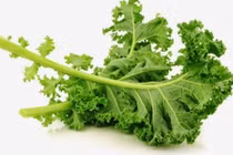 Video: 10 thực phẩm giàu canxi cực tốt cho mọi lứa tuổi