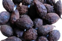 Video: Bài thuốc dân gian từ thảo quả trị các bệnh tiêu hóa