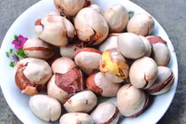 Video: Ít ai ngờ thứ tưởng bỏ đi của quả mít lại chữa được vô số bệnh