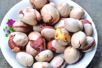 Video: Ít ai ngờ thứ tưởng bỏ đi của quả mít lại chữa được vô số bệnh