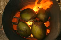 Video: Thuốc chữa dạ dày thần kỳ từ việc để quả dừa nướng trên bếp