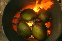 Video: Thuốc chữa dạ dày thần kỳ từ việc để quả dừa nướng trên bếp