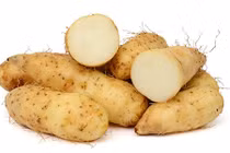 Video: Ăn loại củ này vừa “hút” mỡ lại vừa chữa bệnh