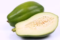 Video: Bài thuốc quý chữa rắn cắn bằng đu đủ non