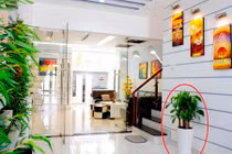 Video: 10 điều đại kỵ phong thủy nhà ở khiến gia đình nghèo mạt vận