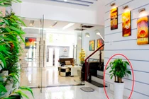 Video: 10 điều đại kỵ phong thủy nhà ở khiến gia đình nghèo mạt vận