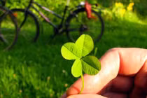 Video: 15 điều giúp bạn hưởng trọn niềm vui cuộc sống