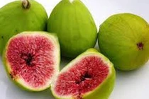 Video: Vị thuốc trị đủ loại bệnh dạ dày ít ai ngờ, có rất nhiều ở Việt Nam