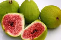 Video: Vị thuốc trị đủ loại bệnh dạ dày ít ai ngờ, có rất nhiều ở Việt Nam