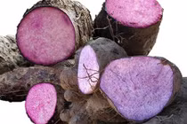 Video: Loại củ chữa bách bệnh, có thể dùng thay lương thực ít ai ngờ tới