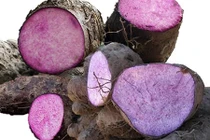 Video: Loại củ chữa bách bệnh, có thể dùng thay lương thực ít ai ngờ tới