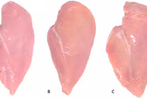 Video: Những miếng thịt gà có vằn trắng, nên ăn hay nên bỏ?